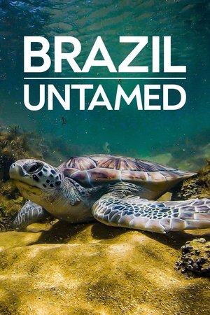 Brazil Untamed Poster