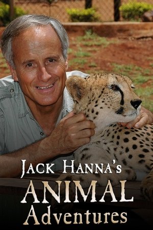 Animal Adventures Poster