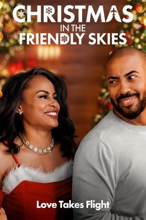 Christmas in the Friendly Skies Poster