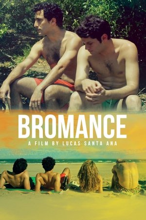 Bromance Poster
