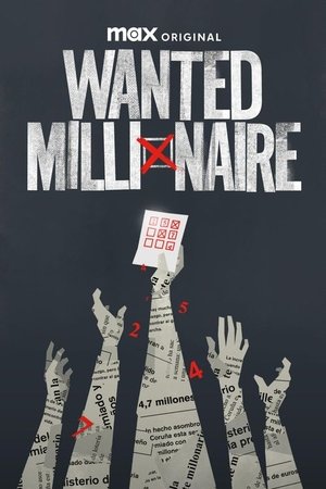 Wanted: Millionaire Poster