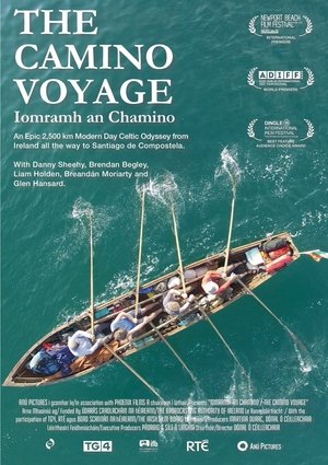 The Camino Voyage Poster