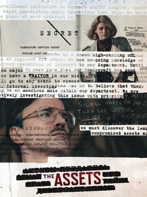 The Assets Poster