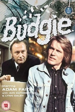 Budgie Poster