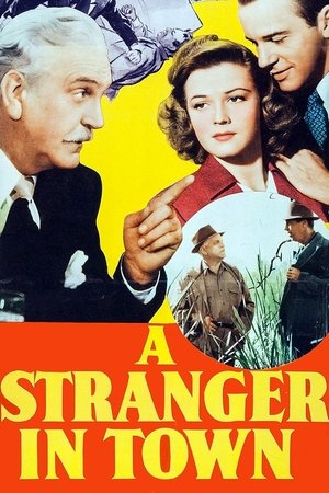 A Stranger in Town Poster