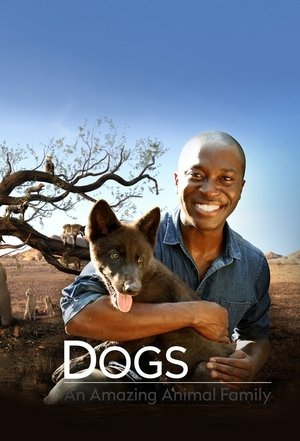 Dogs: An Amazing Animal Family Poster