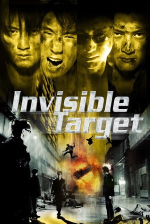 Invisible Target Poster