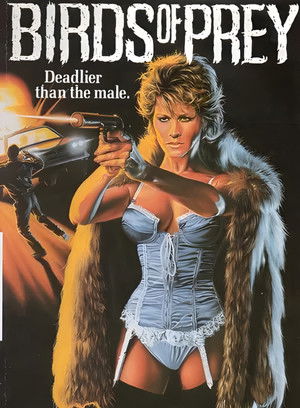 Birds of Prey Poster