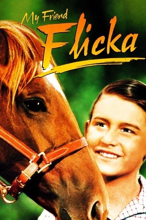 My Friend Flicka Poster