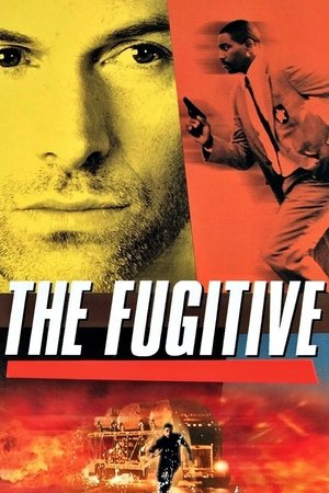 The Fugitive Poster