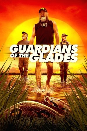 Guardians of the Glades Poster