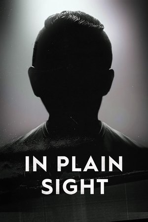 In Plain Sight Poster