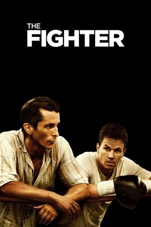 The Fighter Poster