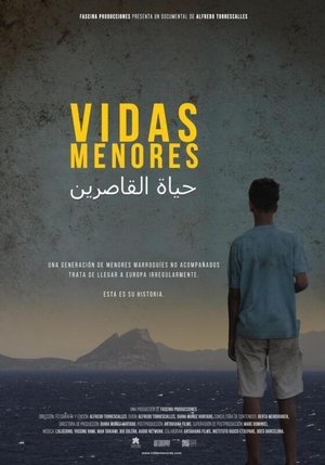 Vidas menores Poster