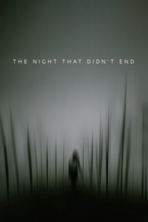 The Night That Didn't End Poster