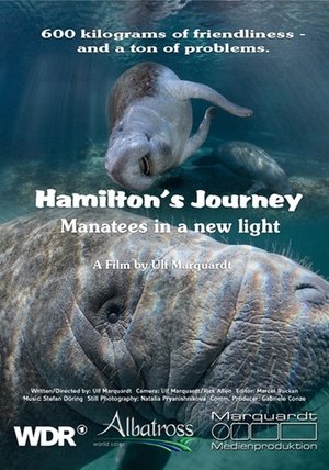 Hamilton's Journey - Manatees in a New Light Poster