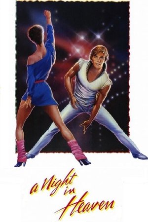 A Night In Heaven Poster