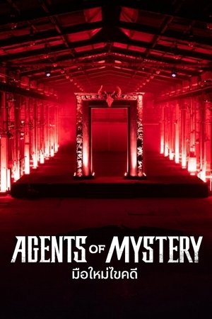 Agents of Mystery Poster