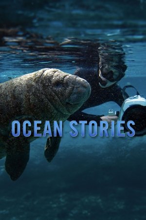 Ocean Stories Poster