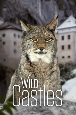 Wild Castles Poster