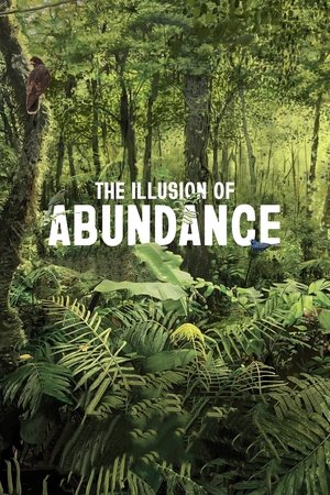 The Illusion of Abundance Poster