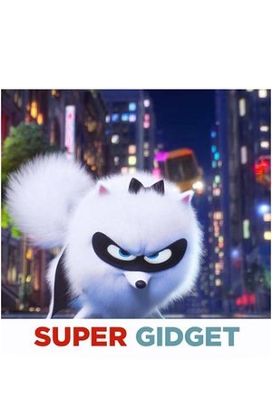 Super Gidget Poster