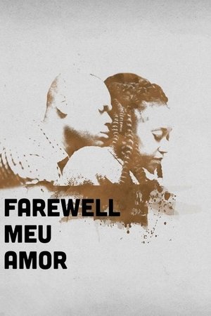 Farewell Meu Amor Poster