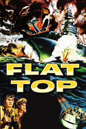 Flat Top Poster