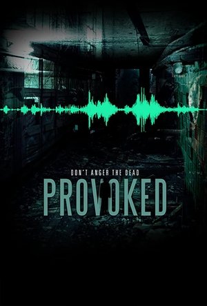 Provoked Poster