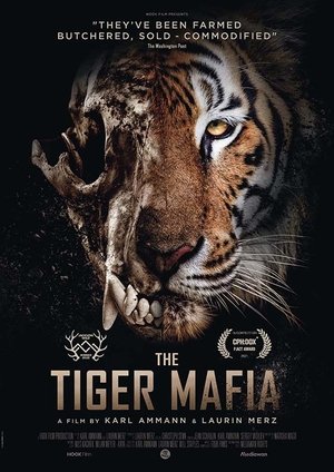 The Tiger Mafia Poster
