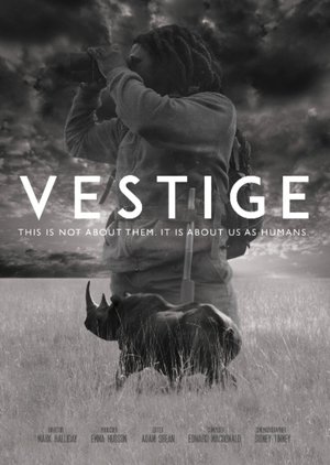 Vestige Poster