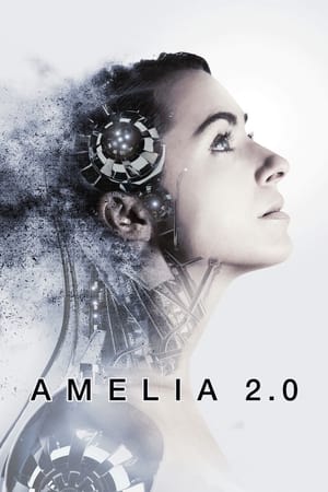 Amelia 2.0 Poster