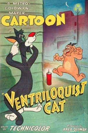 Ventriloquist Cat Poster