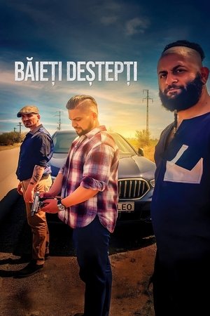 Baieti Destepti Poster