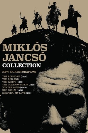 Autumn in Badacsony Poster