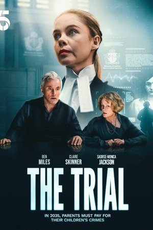 The Trial Poster