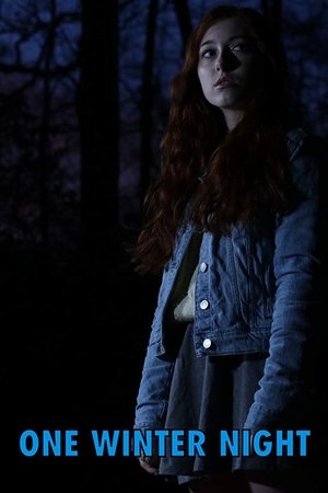 One Winter Night Poster