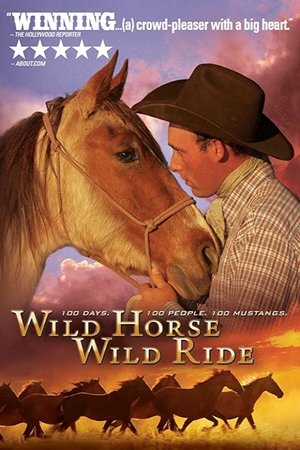 Wild Horse, Wild Ride Poster