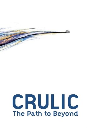 Crulic: The Path to Beyond Poster