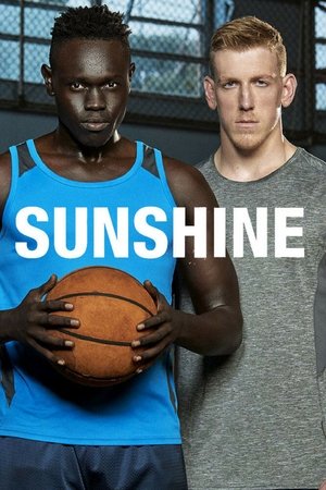 Sunshine Poster