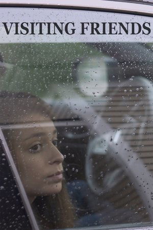 Visiting Friends Poster