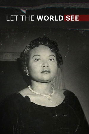 Let the World See Poster