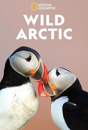 Wild Arctic Poster