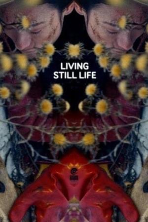 Living Still Life Poster