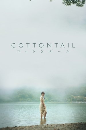 Cottontail Poster