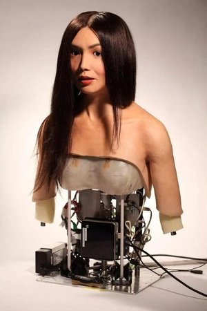 How to Build a Human Poster