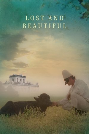 Lost and Beautiful Poster