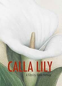 Calla Lily Poster