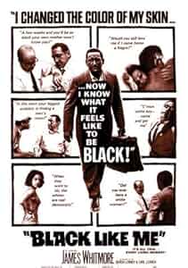 Black Like Me Poster